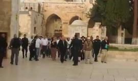 عشرات المستوطنين يقتحمون المسجد الاقصى منذ الصباح