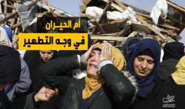 أم الحيران.. تصارع البقاء في وجه الاستيطان والتطهير العرقي