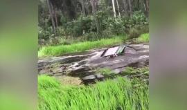 ترفيه من نوع آخر