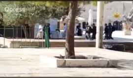 مجموعة ثانية من المستوطنين تقتحم ��المسجد الأقصى� بحماية قوات الاحتلال
