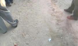 #مباشر 

مهرجان فني في مخيم العودة شرق البريج وسط قطاع غزة في جمعة #المقاومة_خيارنا 

بث مراسلنا احمد المقادمة