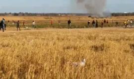 #مباشر احتراق الأحراش شرق خزاعة 
تصوير أحمد البطة