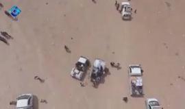 #شاهدد نزوح العائلات من محافظة الرقة السورية بسبب المعارك بين تنظيم الدولة والوحدات الكردية المدعومة من التحالف الدولي