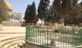 المسجد فارغ تماما .. 
#مباشر : المصلون يلتزمون بقرار المرجعيات الدينية بالقدس المحتلة بعدم الصلاة في #المسجد_الاقصى وعوضا عن ذلك الصلاة والتظاهر على أبواب المسجد، رفضاً لوضع سلطات الاحتلال ابواب الكترونية وكاميرات مراقبة. 
#جمعة_الأقصى