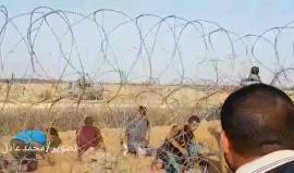 #شاهد
قوات الاحتلال تطلق النار على الشبان شرق خانيونس