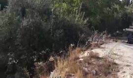 #مباشر.. تعرّف على منطقة باب الرحمة بالمسجد الاقصى المبارك ، والتي ينوي الاحتلال تحويلها الى حديقة توراتية ..  
#باب_الرحمة_لنا