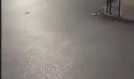 اللحظات الأولى لإصابة الشهيد محمد الجعبري في مدينة الخليل.