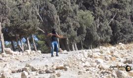 #شاهد جانب من المواجهات بين الشبان وقوات الاحتلال في بلدة تقوع جنوب بيت لحم، ظهر اليوم.