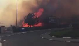 #شاهد الحرائق الهائلة في حيفا .. وعمليات إجلاء للمستوطنين