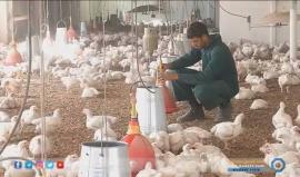 ارتفاع كبير في الأسعار داخل السوق الفلسطيني