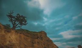 #شاهد .. #كليب غزة الأوفياء 
 محمد أبو راتب | mohamad aburatib