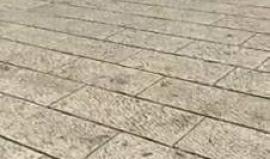 #شاهد مستوطنون صهاينة يتجولون في التجمعات العربية بالقدس المحتلة، تحت حماية مشددة من شرطة الاحتلال.
تصوير:محمد قاروط ادكيدك