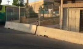 مباشر اعتصام لشباب ضد الاستيطان وأهالي حارة السلايمة قرب المسجد الإبراهيمي في الخليل بسبب إغلاق الحارة من الاحتلال تصوير عامر أبو عرفة