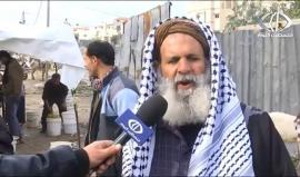 تجاز المواشي في غزة يشتكون من عدم وجود سوق مخصص لبيع وشراء الماشية