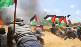 #شاهد المتظاهرون يصلون إلى السياج الفاصل الشرقي لخانيونس جنوب قطاع غزة . 
#مليونية_العودة