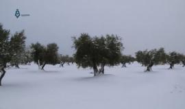ريف حلب- مشاهد من المخيمات العشوائية على أطراف مدينة اعزاز