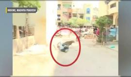 #فيديو فهد ينقض على المارة في شوارع الهند