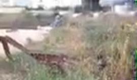 #مباشر مواجهات والتحام بين الشبان وقوات الاحتلال شرق غزة خلال #مسيرة_العودة_الكبرى