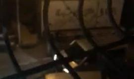 #شاهد
أجهزة السلطة تطلق النار في الهواء والشبان يلقون عليها الحجارة في المنطقة الجنوبية لمدينة الخليل