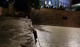 من شعائر صلاة التراويح في المسجد الاقصى المبارك - الشيخ محمد علي العباسي