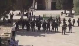 #شاهد.. مواجهات المسجد الاقصى صباح اليوم