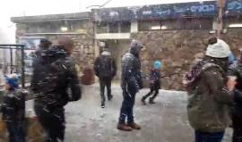 #شاهد إغلاق جبل الشيخ وتساقط الثلوج على مرتفعات شمال فلسطين .