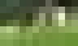 #شاهد.. لم يرحم "كلبه".. هكذا يستعد #ميسي للموسم الكروي الجديد!