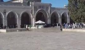 التكبيرات تعلو في المسجد الأقصى عقب اقتحامه من قبل قوات الاحتلال