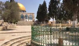 #مباشر : المصليين يلتزمون بقرار المرجعيات الدينية بالقدس المحتلة بعدم الصلاة في #المسجد_الاقصى وعوضاً عن ذلك الصلاة والتظاهر على الأبواب  

رفضاً لوضع سلطات الاحتلال ابواب الكترونية وكاميرات مراقبة ولتشديداته الأمنية