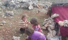 هدير الطائرات السورية تجبر أطفال سوريا للجوء إلى البراري
تقرير قاسيون