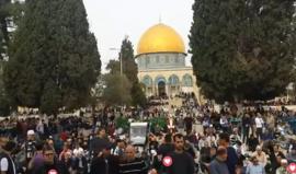 #شاهد #مباشر صلاة الجمعة من قلب العاصمة الفلسطينية - المسجد الأقصى المبارك . 
#القدس_عاصمة_فلسطين