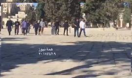 اقتحامات المستوطنين لباحات المسجد الأقصى صباح اليوم