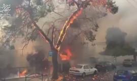 #شاهد حرائق هائلة في حيفا المحتلة والاحتلال يخلي آلاف المستوطنين