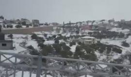 تساقط الثلوج بغزارة في قرية "الجش" في الجليل شمال فلسطين المحتلة صباح اليوم