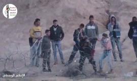 #فيديو شبان يتمكنون من قص وسحب السياج الفاصل الذي وضعه الاحتلال شرق البريج على حدود وسط قطاع غزة قبل أيام