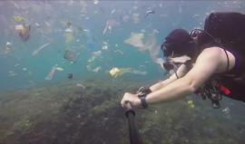 #فيديو السباحة وسط أكوام من النفايات قبالة سواحل "بالي الإندونيسية"