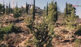 في الذكرى الـ 41 ليوم الأرض .. تعرف على قرى مهجرة بالقدس المحتلة .