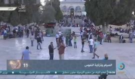 #بث_مباشر من المسجد الأقصى المبارك