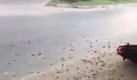 #فيديو يرصد اللحظات الأولى لقصف مبنى الكتيبة غرب غزة