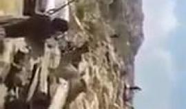 #شاهد إستياء سعودي على مواقع التواصل في أعقاب إطلاق النار على رأس جمل قبل نحره!