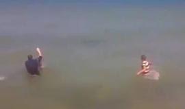 قرش أبيض على شواطئ تونس ..