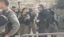 الاحتلال يعتقل عدد من الشبان اثناء خروجهم من المسجد الاقصى فور انتهاء صلاة الجمعة