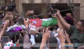 #شاهد ..موكب أميرة ملائكة الرحمة #رزان_النجار
تقرير: هنادي نصر الله