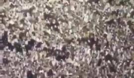 #شاهد حشود المسلمين التي أحيت ليلة ال27 من رمضان في مكة المكرمة