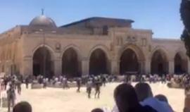 #مباشر : خطبة الجمعة من المسجد الأقصى المبارك

تصوير: ابراهيم السنجلاوي