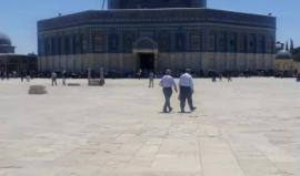 #مباشر| خطبة وصـلاة الجمعة من المـسجد الأقصى المبارك .