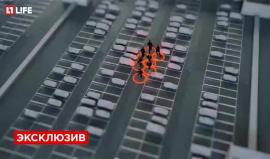 #شاهد كيف اقتحم الانتحاريون مطار أتاتورك بتركيا المطار ونفذوا عمليتهم
المصدر : صحيفة Yeni Şafak