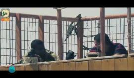 الشهيد أحمد مرجان.. أهداه رفيقه الشهيد "سلام المدهون" بشارة في الحلم وتحققت بعد أسبوع.. ما هي؟