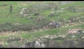 #شاهد 
مستوطن بحماية قوات الاحتلال يطلق النار في بلدة قرب نابلس أثناء الاعتداء على البلدة. 
تصوير منير قادوس