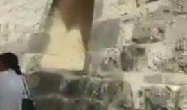 #فيديو مستوطنون يهربون اغصان للاحتفال بعيد "العرش اليهودي" داخل المسجد الأقصى المبارك